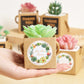 2.5 Inch Succulents Wrap Bags with Thank You &amp; Let Love Grow Stickers, Party Favor Boxes for Baby Shower Favors for Guests, Mini Gift Bags with Handles for Wedding Favors for Guests